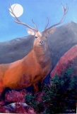 Sean's Deer 100 x 70cm