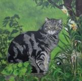 Pusskins